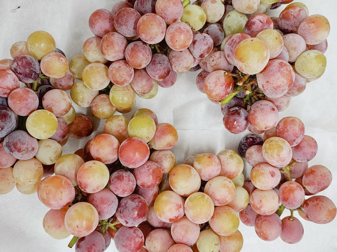 ✨自然そのものの色合い🍇🍐