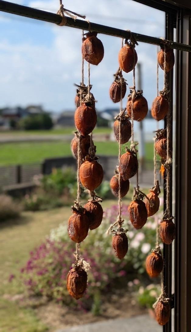 季節の風物詩🍂干し柿✨