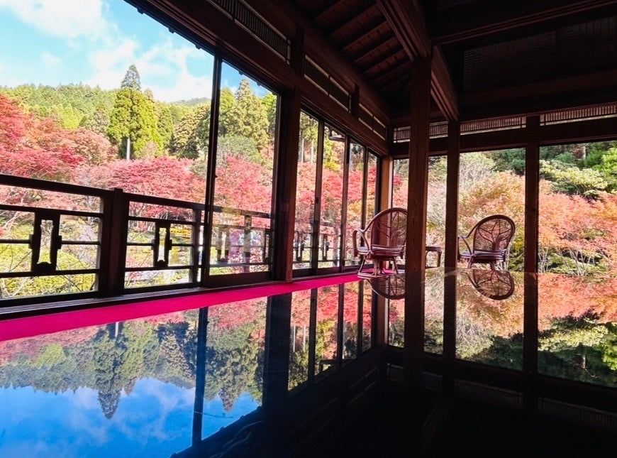 佐賀県唐津市の環境芸術の森🍁✨