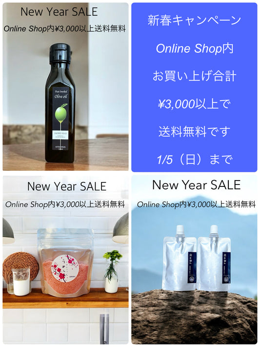 ✨2025 New Year SALE🎉✨