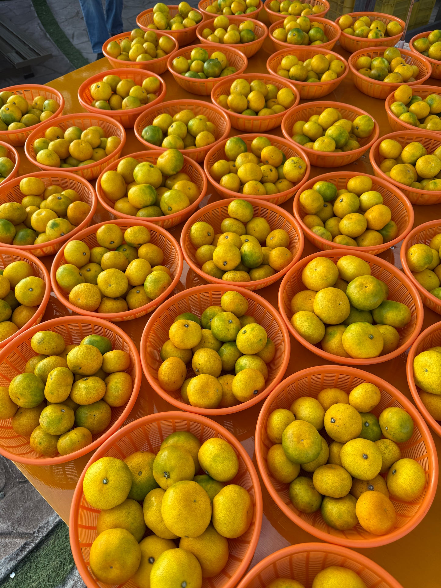 【みかん-mikan-】コールドプレスジュース