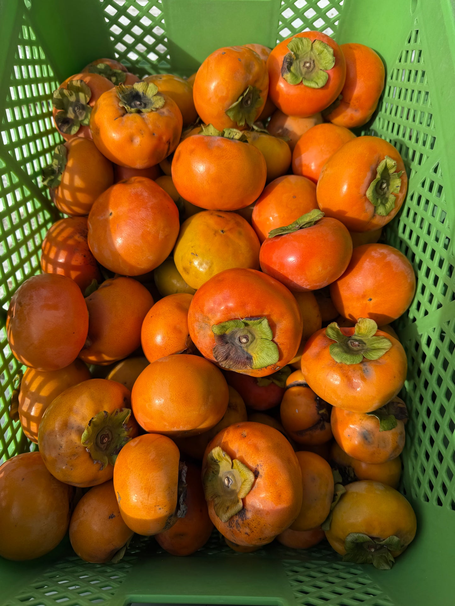 【かき-kaki-】コールドプレスジュース