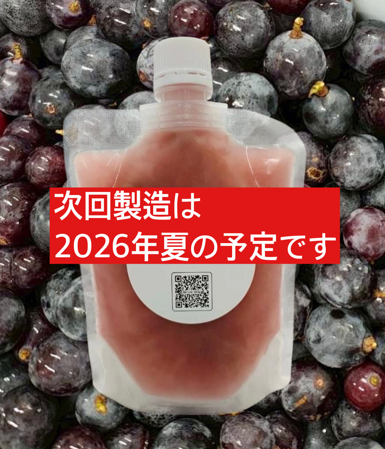 【ぶどう-budou-】【巨峰】コールドプレスジュース